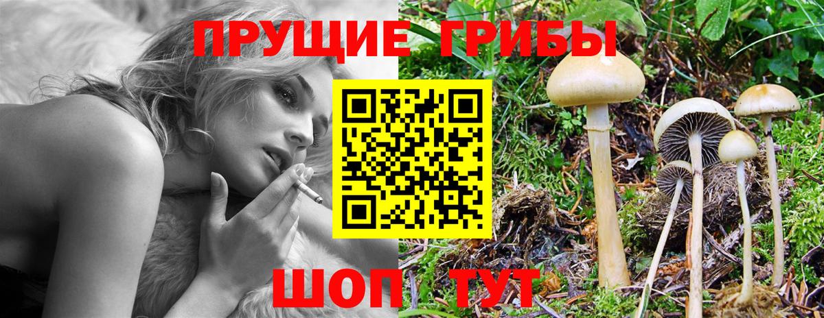 наркошоп  Галлюциногенные грибы мицелий  Псилоцибиновые грибы мицелий  Вход с VPN  Сатка 